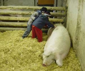 photo Ferme pdagogique de saint hilliers St Hilliers 10414
