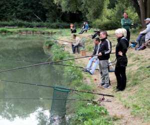 Etang De La Maraichere   Longuesse