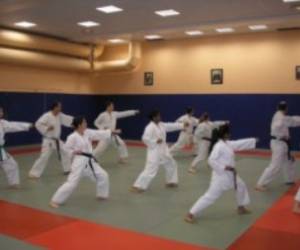 Ecole Parisienne De Karate