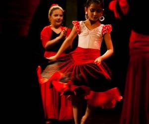 Flamenco En France