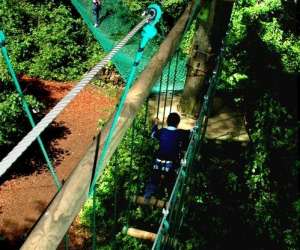 photo Parc aventure land Magny En Vexin 17964