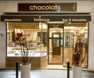 photo Chocolats bellevue Meudon 2858