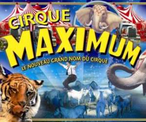 Le Cirque Maximum Le Cirque Maximum
