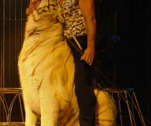 photo Le cirque maximum Cergy 2876