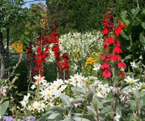 Jardin Des Plantes