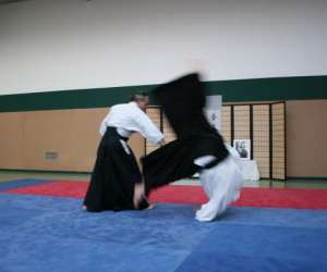 Usmt Aikido