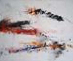 photo Artiste peintre     'atelier  arnaud   franois' Paris 18eme Arrondissement 7583