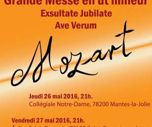 photo Choeur polycantus Viroflay 15940