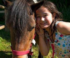 Centre questre Et Poney Club Dpartemental De La Courn