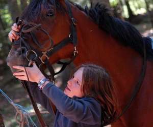 Club Hippique Dpartemental Des Chanteraines