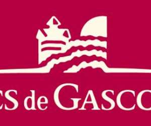 Ducs De Gascogne