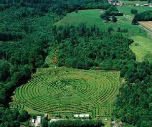 Le Labyrinthe Gant Du Massif Forestier De Chabrire