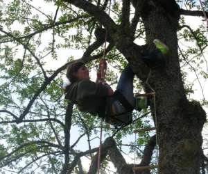 photo Grimpe encadre dans les arbres Moutier Rozeille 2719
