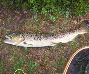 photo Moniteur-guide de peche professionnel Ambazac 2750