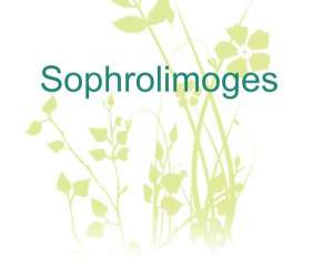 photo Sophrolimoges Bosmie L Aiguille 2807