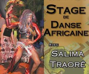 photo Association wontanara - danse africaine  Limoges 3518