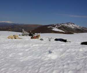 photo Adh chiens de traineau Ussac 2882