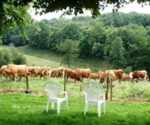 photo Gte des chaises basses - proche de brive et pompadour Orgnac Sur Vezere 3194