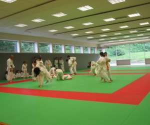 photo Uchu judo Limoges 3182