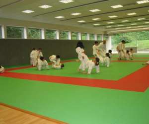 photo Uchu judo Limoges 3183