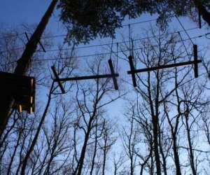 photo Arbre & aventure lac de saint-pardoux Razes 3458