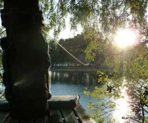 photo Arbre & aventure lac de saint-pardoux Razes 3460