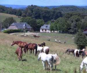 Ferme Equestre De Mialaret