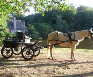 Ferme Equestre De Malesse