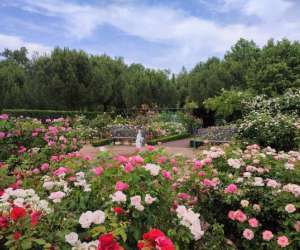 photo Les jardins de colette et son labyrinthe gant Varetz 4086