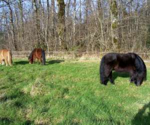 photo La villatte equitation 23 Roches 3821