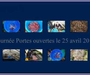  Pisciculture Saint Morat