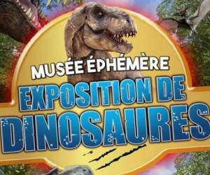 Le Muse phmre: Exposition De Dinosaures