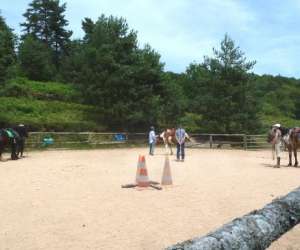 photo La ferme questre de trphy - thologie & quitation western Chaumeil 4131