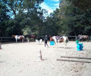 photo La ferme questre de trphy - thologie & quitation western Chaumeil 4132