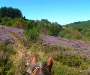 La Ferme questre De Trphy - thologie & quitation We