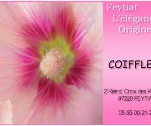 Coiffleur Coiffleur