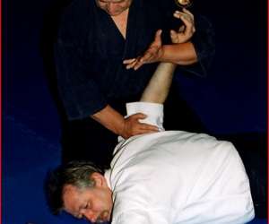 Shingitai Ryu Shingitai Ryu