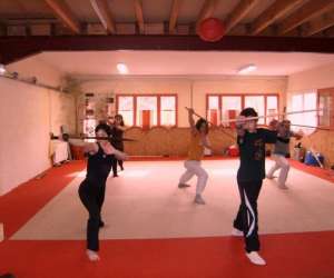 photo Tai ji quan, wushu,sanda, muay tha, gym taoste Tulle 2512