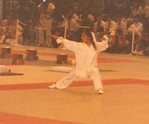 photo Tai ji quan, wushu,sanda, muay tha, gym taoste Tulle 2532