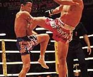 photo Tai ji quan, wushu,sanda, muay tha, gym taoste Tulle 2533