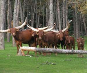 photo African safari Plaisance Du Touch 3839