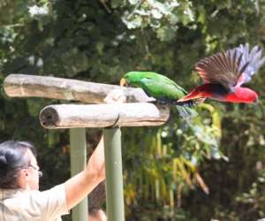 photo African safari Plaisance Du Touch 7255