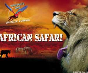 African Safari