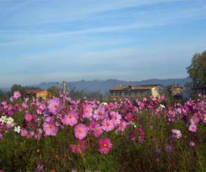 Ferme  Dlices - Ferme-auberge