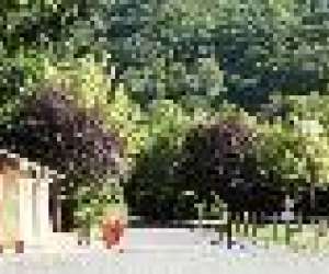photo Camping le jardin Lacaze 6491