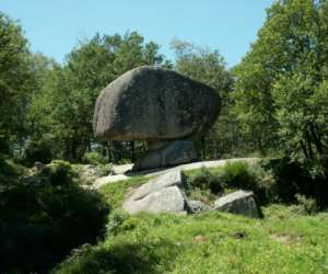 photo Camping le plo Le Bez 4769