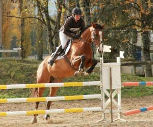 Centre Equestre Castres Borde Basse