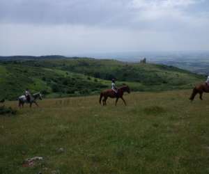 Club Equestre De Dourgne