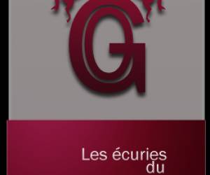 Scea Les Ecuries Du Go