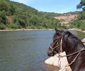 Ferme Equestre Du Griou